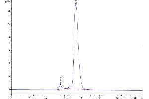 The purity of Mouse PILRA is greater than 95 % as determined by SEC-HPLC.