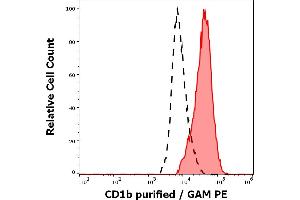 Separation of cells stained using anti-human CD1b (SN13) purified antibody (concentration in sample 9 μg/mL, GAM PE, red-filled) from cells unstained by primary antibody (GAM PE, black-dashed) in flow cytometry analysis (surface staining) of human stimulated (GM-CSF + IL-4) peripheral blood mononuclear cells. (CD1b 抗体)