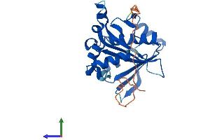 AlphaFold protein structure predicition of Mouse Recombinant Nat9 Protein, UniprotID Q3UG98