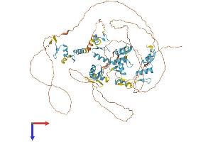 AlphaFold protein structure predicition of Human Recombinant ZNF711 Protein, UniprotID Q9Y462