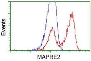 Flow Cytometry (FACS) image for anti-Microtubule-Associated Protein, RP/EB Family, Member 2 (MAPRE2) antibody (ABIN1499321) (MAPRE2 抗体)