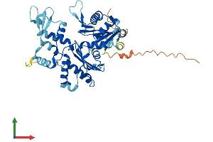 Protein Structure (PS) image for Actin-Related Protein 10 Homolog (ACTR10) (AA 1-417) protein (His tag) (ABIN7552324)