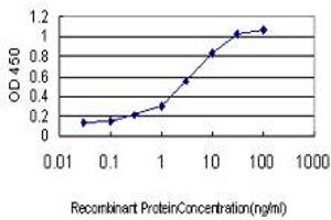 Detection limit for recombinant GST tagged BCL2L14 is approximately 0. (BCL2L14 抗体  (AA 1-327))