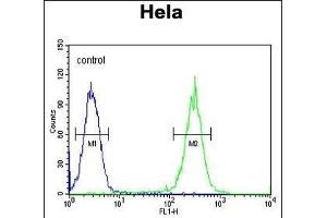 Flow Cytometry (FACS) image for anti-Excision Repair Cross-Complementing Rodent Repair Deficiency, Complementation Group 6 (ERCC6) (AA 5-34), (N-Term) antibody (ABIN654126)