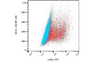 Detection of transfected LST-1-c-Myc in HEK-293 cells (red) compared with nontransfected HEK-293 cells (blue) using mouse monoclonal anti-c-Myc (9E10) FITC. (Myc Tag 抗体  (C-Term) (FITC))
