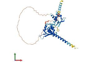 Protein Structure (PS) image for Melanoma Antigen Family B, 18 (MAGEB18) (AA 1-343) protein (His tag) (ABIN7549147)