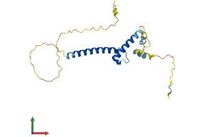 Protein Structure (PS) image for Transcription Factor 15 (Basic Helix-Loop-Helix) (TCF15) (AA 1-199) protein (His tag) (ABIN7544335)