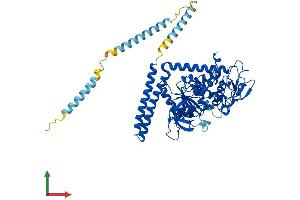 Protein Structure (PS) image for Fucosyltransferase 8 (Alpha (1,6) Fucosyltransferase) (FUT8) (AA 1-575) protein (His tag) (ABIN7547756)