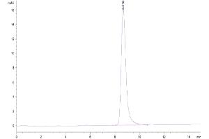 Size-exclusion chromatography-High Pressure Liquid Chromatography (SEC-HPLC) image for Leucine-Rich alpha-2 Glycoprotein 1 (LRG1) (AA 72-383) protein (His tag) (ABIN7275201)