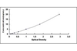 Typical standard curve (PER1 ELISA 试剂盒)