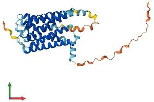 AlphaFold protein structure predicition of Mouse Recombinant Gpr157 Protein, UniprotID Q8C206