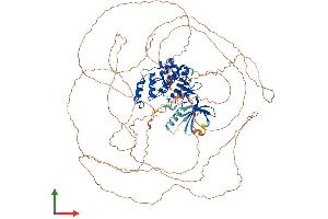Protein Structure (PS) image for Cyclin-Dependent Kinase-Like 5 (CDKL5) (AA 1-938) protein (His tag) (ABIN7557283)