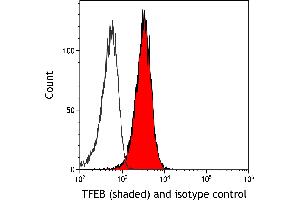Flow Cytometry (FACS) image for anti-Transcription Factor EB (TFEB) (AA 426-476) antibody (ABIN7453326) (Recombinant TFEB 抗体  (AA 426-476))