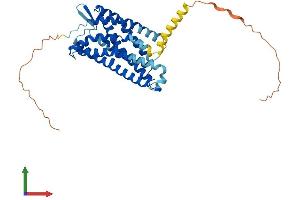 Protein Structure (PS) image for Lysophosphatidic Acid Receptor 4 (LPAR4) (AA 1-370) protein (His tag) (ABIN7549130)