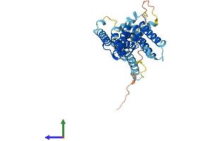 Protein Structure (PS) image for Rhomboid, Veinlet-Like 2 (RHBDL2) (AA 1-302) protein (His tag) (ABIN7561907)