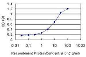 Detection limit for recombinant GST tagged DSC3 is approximately 1ng/ml as a capture antibody. (Desmocollin 3 抗体  (AA 585-684))