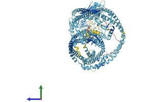 Protein Structure (PS) image for Structural Maintenance of Chromosomes 4 (SMC4) (AA 1-1286) protein (His tag) (ABIN7564565)