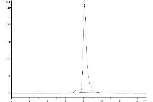 Size-exclusion chromatography-High Pressure Liquid Chromatography (SEC-HPLC) image for CD7 (CD7) (AA 24-150) protein (Fc Tag) (ABIN7274236)
