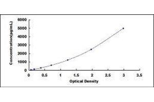 CD93 (CD93) ELISA Kit