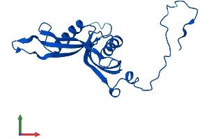 AlphaFold protein structure predicition of Human Recombinant RPL18A Protein, UniprotID Q02543 (RPL18A Protein (AA 1-176) (His tag))
