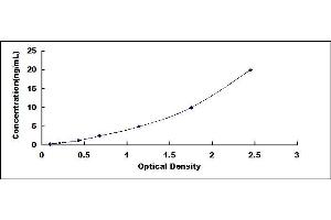 Typical standard curve (ADAMTS13 ELISA 试剂盒)