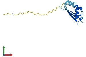 AlphaFold protein structure predicition of Human Recombinant BOLA3 Protein, UniprotID Q53S33