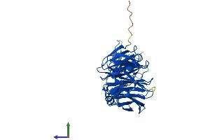 Protein Structure (PS) image for Zinc Finger, FYVE Domain Containing 22 (ZFYVE22) (AA 1-400) protein (His tag) (ABIN7556017)
