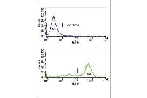 Flow Cytometry (FACS) image for anti-Ets Variant 6 (ETV6) antibody (ABIN3003964) (ETV6 抗体)
