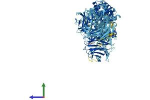 AlphaFold protein structure predicition of Mouse Recombinant Apaf1 Protein, UniprotID O88879