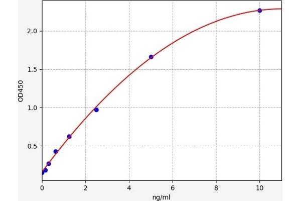 SIPA1L1 ELISA 试剂盒