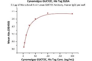 Immobilized Monoclonal A GUCY2C Antibody, Human IgG1 at 1 μg/mL (100 μL/well) can bind Cynomolgus GUCY2C, His Tag (ABIN6973082) with a linear range of 3-25 ng/mL (Routinely tested).