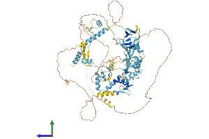 Protein Structure (PS) image for RNA Binding Motif Protein 5 (RBM5) (AA 1-815) protein (His tag) (ABIN7555178)