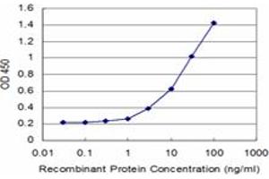 Detection limit for recombinant GST tagged MPHOSPH9 is approximately 1ng/ml as a capture antibody. (MPHOSPH9 抗体  (AA 922-1031))