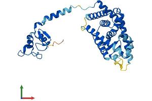 AlphaFold protein structure predicition of Human Recombinant NR1I3 Protein, UniprotID Q14994
