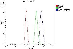 Flow Cytometry analysis of A549 cells using anti-WEE1 antibody (ABIN7599944). (WEE1 抗体  (AA 13-581))