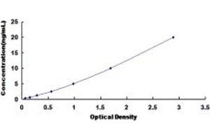 Typical standard curve (ITGA6 ELISA 试剂盒)