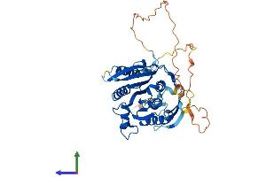 Protein Structure (PS) image for Methyltransferase Like 22 (METTL22) (AA 1-393) protein (His tag) (ABIN7559662)