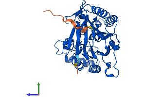Protein Structure (PS) image for Chromosome 17 Open Reading Frame 48 (C17orf48) (AA 1-340) protein (His tag) (ABIN7560346)