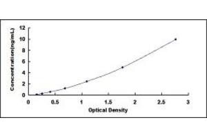 Typical standard curve (PAK4 ELISA 试剂盒)