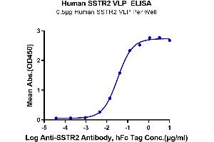 Immobilized Human SSTR2 VLP at 5 μg/mL on the plate (100 μL/Well). (SSTR2 Protein-VLP (AA 1-369))