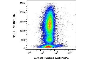 Surface staining of human peripheral blood cells with anti-CD160 (BY55) purified / GAM-APC. (CD160 抗体)