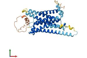 Protein Structure (PS) image for Melanocortin 4 Receptor (MC4R) (AA 1-332) protein (His tag) (ABIN7556476)