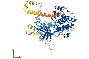 Protein Structure (PS) image for serum/glucocorticoid Regulated Kinase 1 (SGK1) (AA 1-431) protein (His tag) (ABIN7555518)