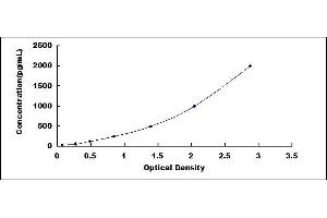 Typical standard curve (FGF13 ELISA 试剂盒)