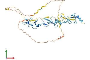 Protein Structure (PS) image for Filamin Binding LIM Protein 1 (FBLIM1) (AA 1-375) protein (His tag) (ABIN7558155)
