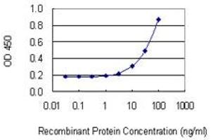 ELISA image for anti-Related RAS Viral (R-Ras) Oncogene Homolog 2 (RRAS2) (AA 1-204) antibody (ABIN564936)
