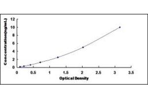 Typical standard curve (LMYC ELISA 试剂盒)