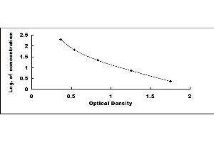 Typical standard curve (AOPP ELISA 试剂盒)