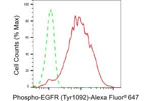 Flow cytometric analysis of Phospho-EGFR (Tyr) expression in HepG2 cells using Phospho-EGFR (Tyr) antibody (ABIN7798465), 1:2,000). (Recombinant EGFR 抗体  (pTyr1068))