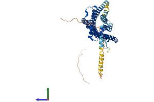 AlphaFold protein structure predicition of Mouse Recombinant Npffr2 Protein, UniprotID Q924H0